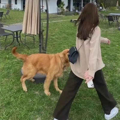 华丽之后粤语